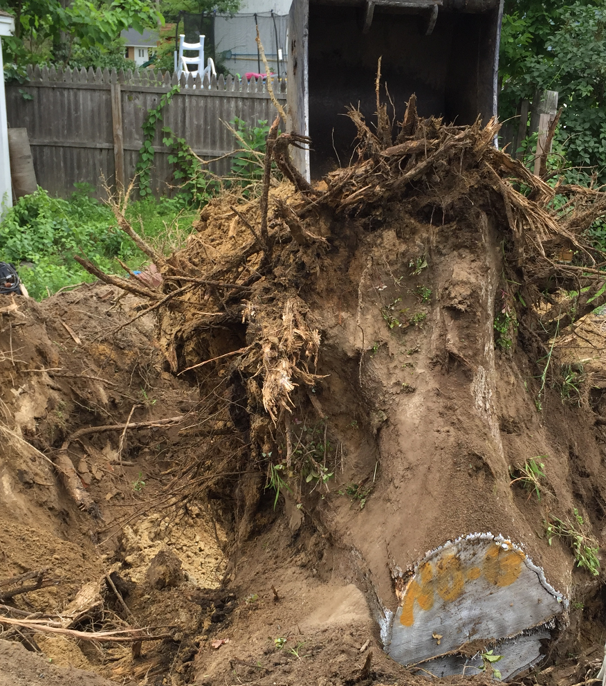 stump removal